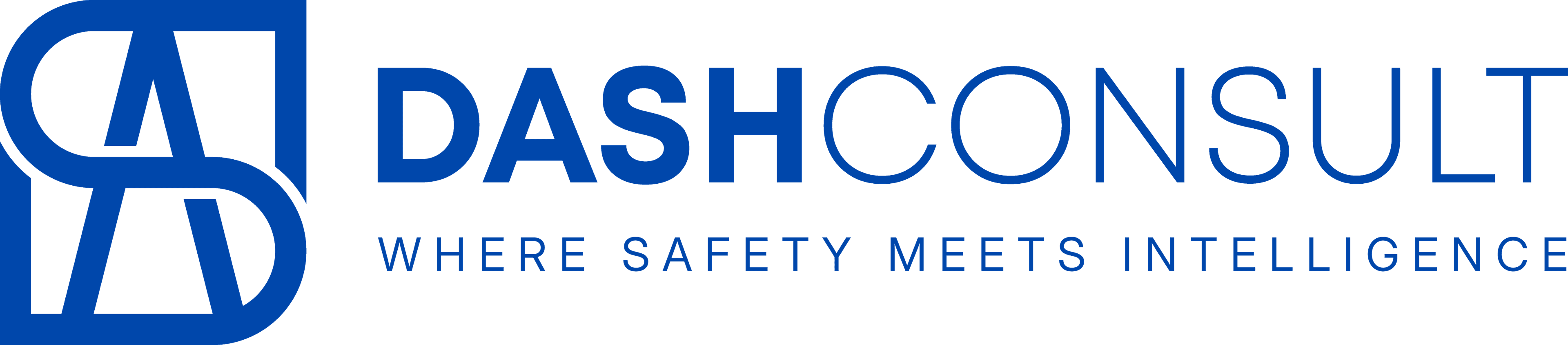 DASH Consult - Where Safety Meets Intelligence